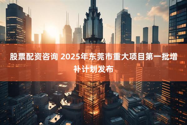 股票配资咨询 2025年东莞市重大项目第一批增补计划发布